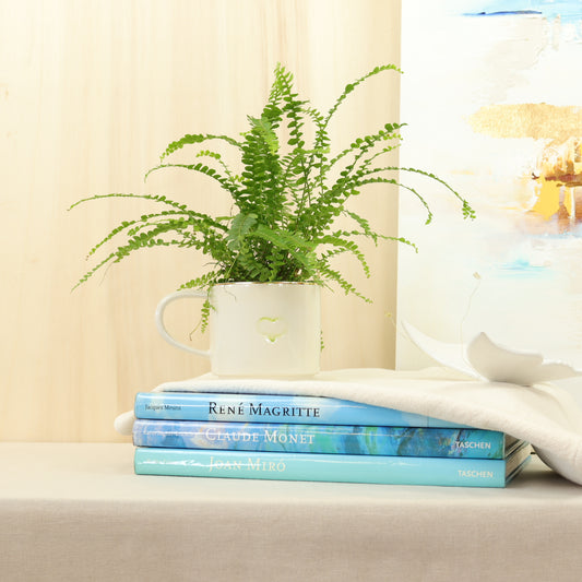 caneca corações 500