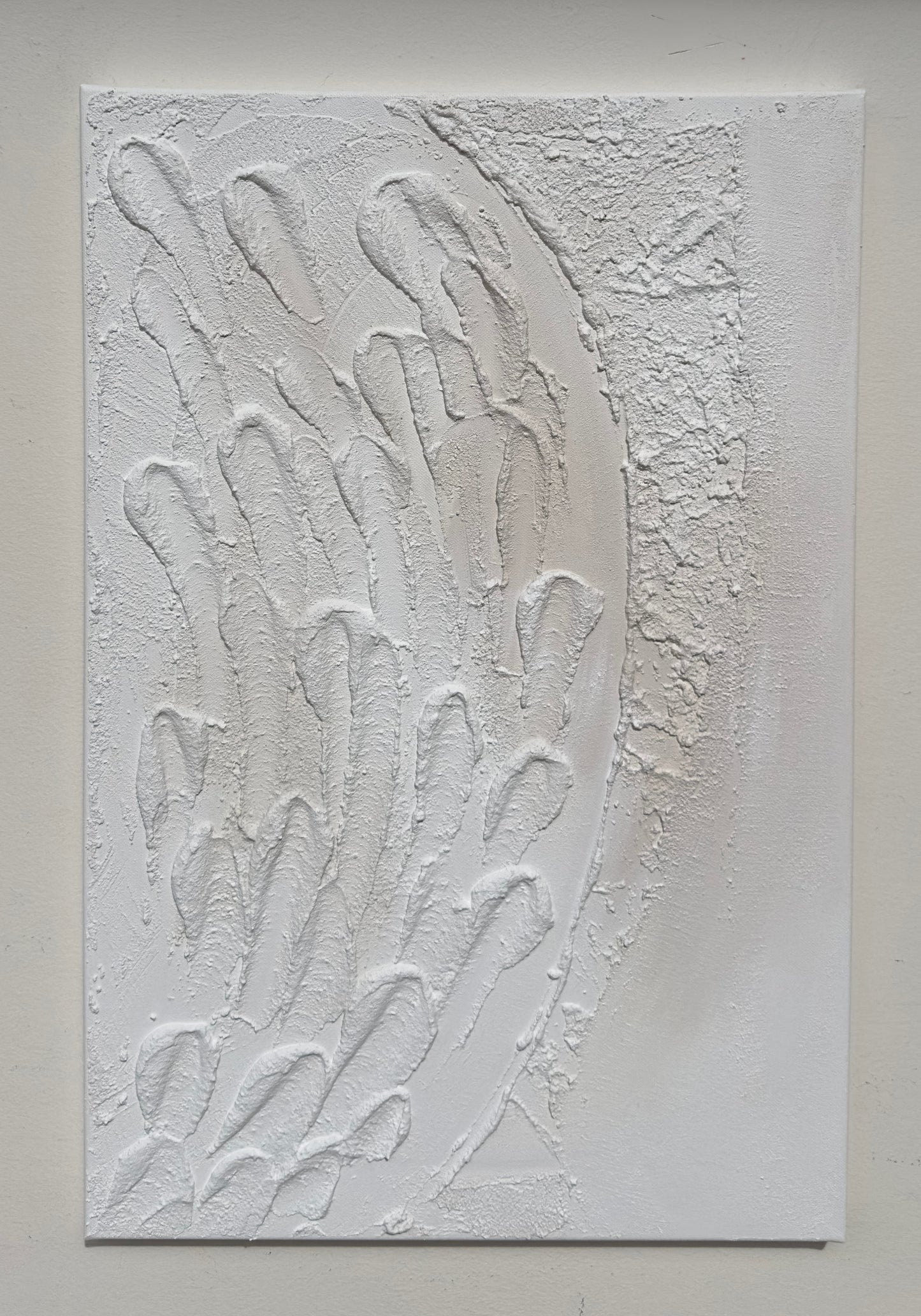 60 x 40 cm Ref. 00828-00829