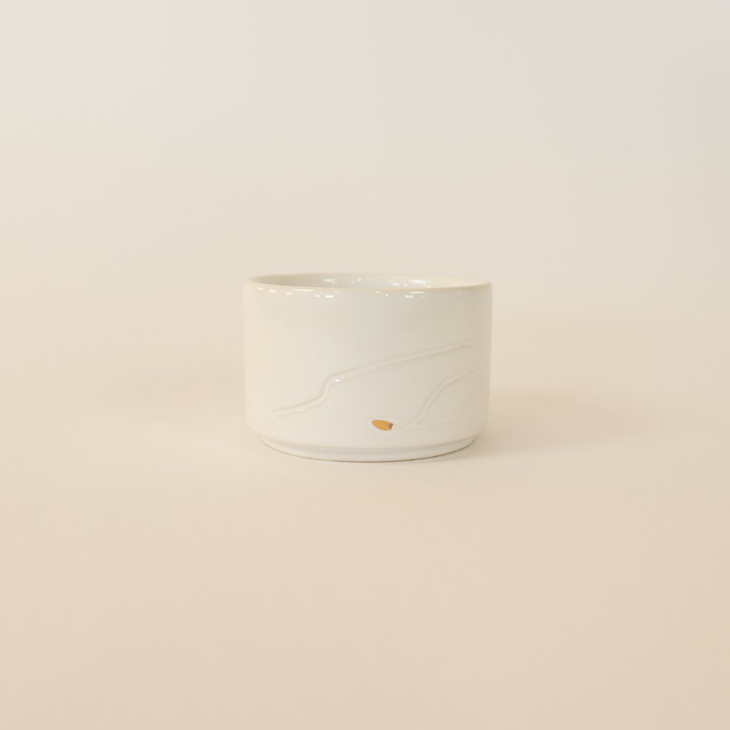 Copa T007