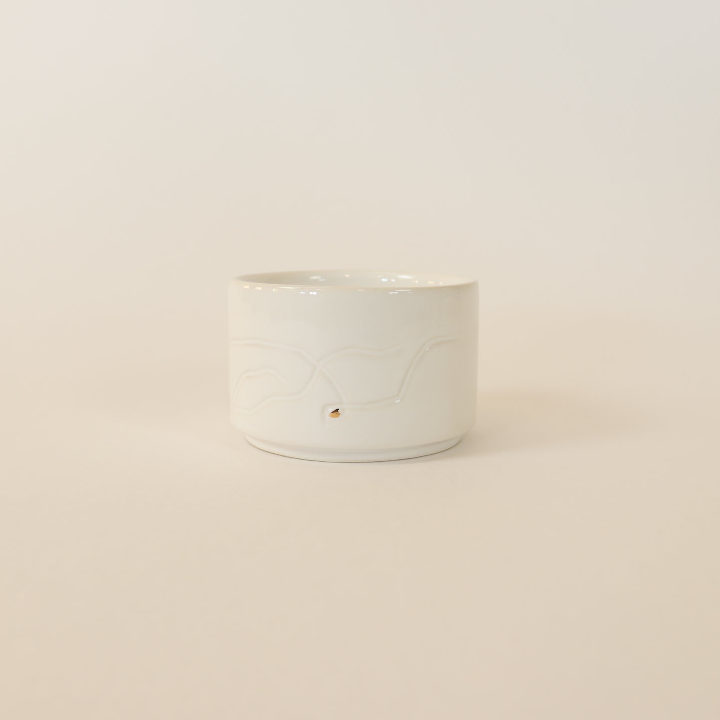 Copa T007