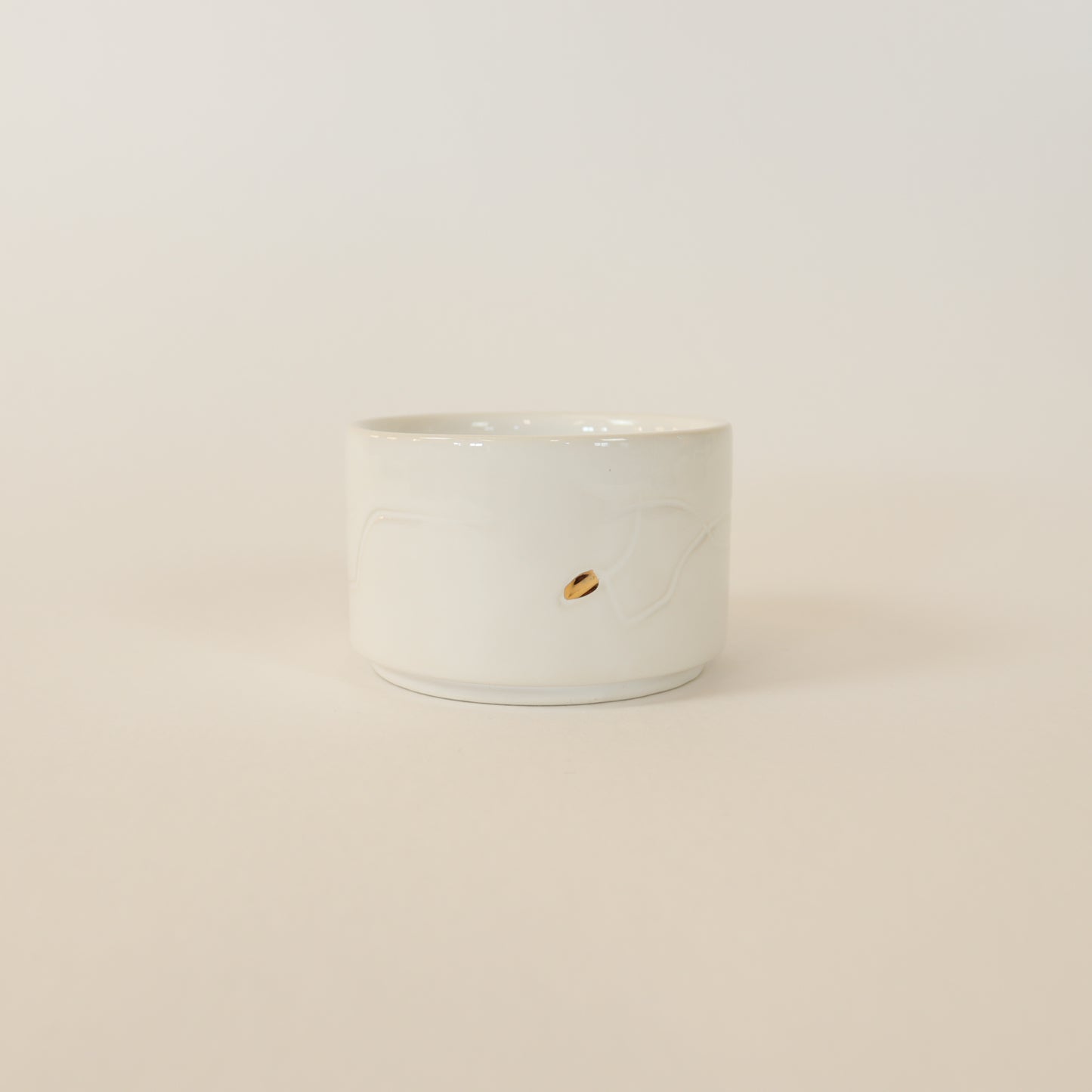 Copa T007