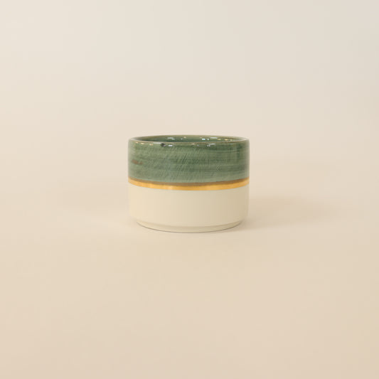 Copa T010