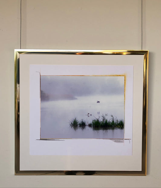 64 x 60 cm  Ref. FNG.11