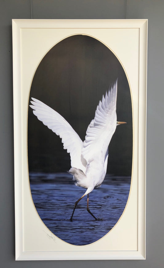 134 x 74 cm Rif.4732